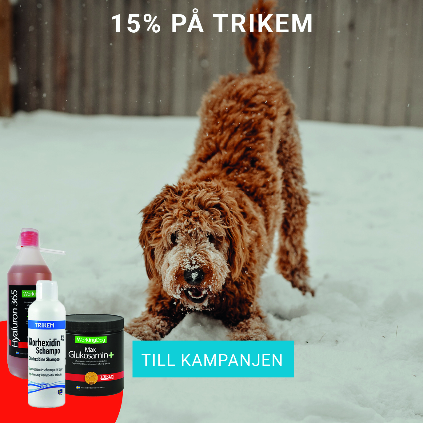 15% på Trikem