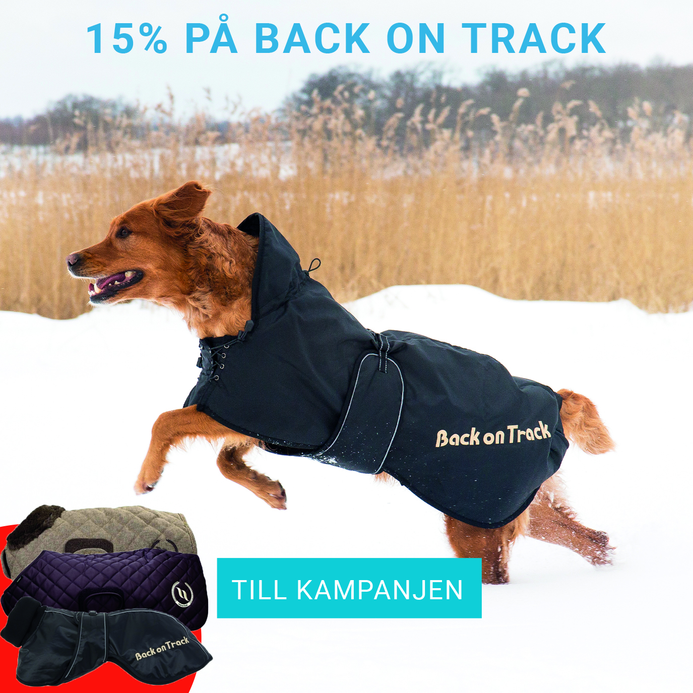 15% på Back on Track