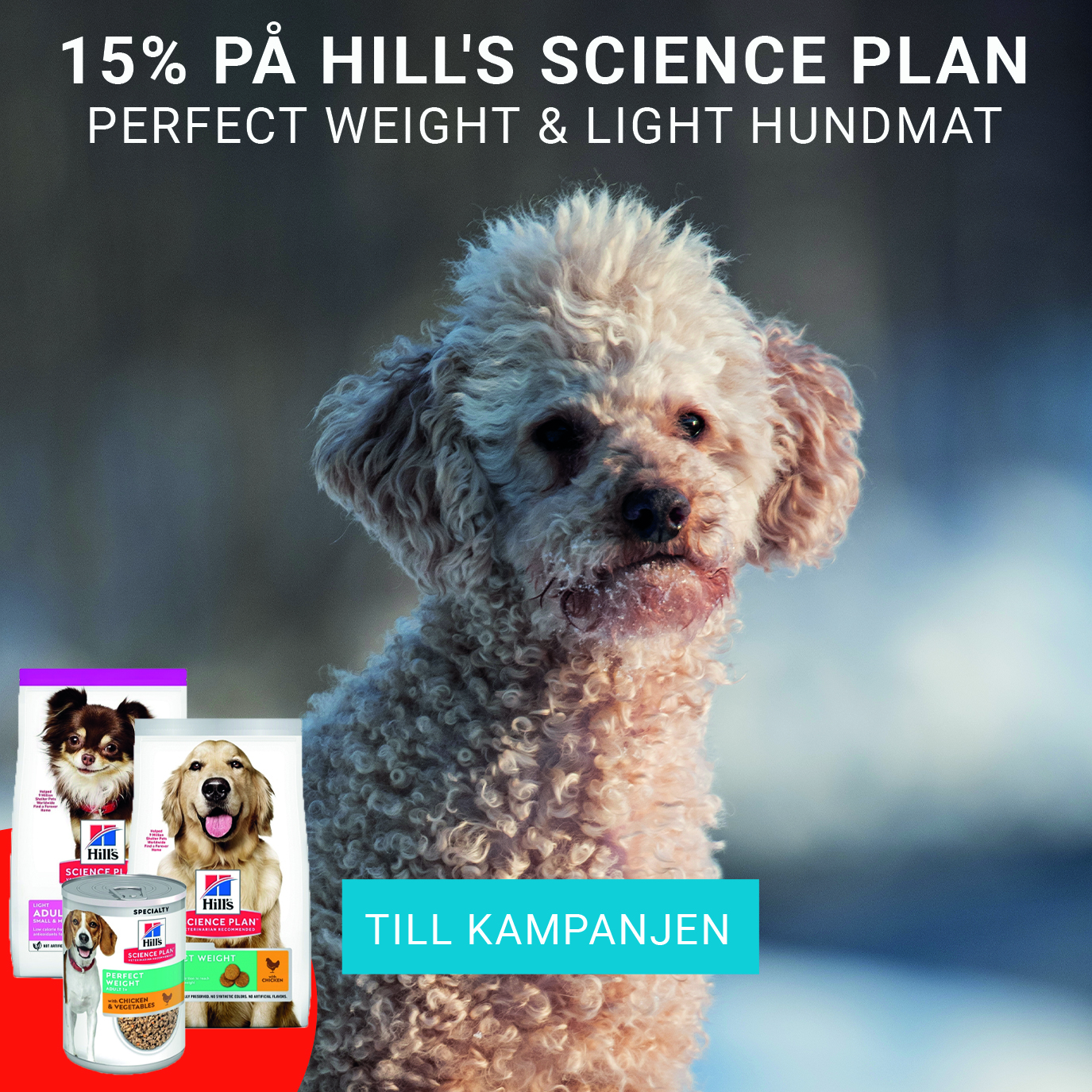 15% på Hill's Science Plan Perfect Weight & Light Hundmat