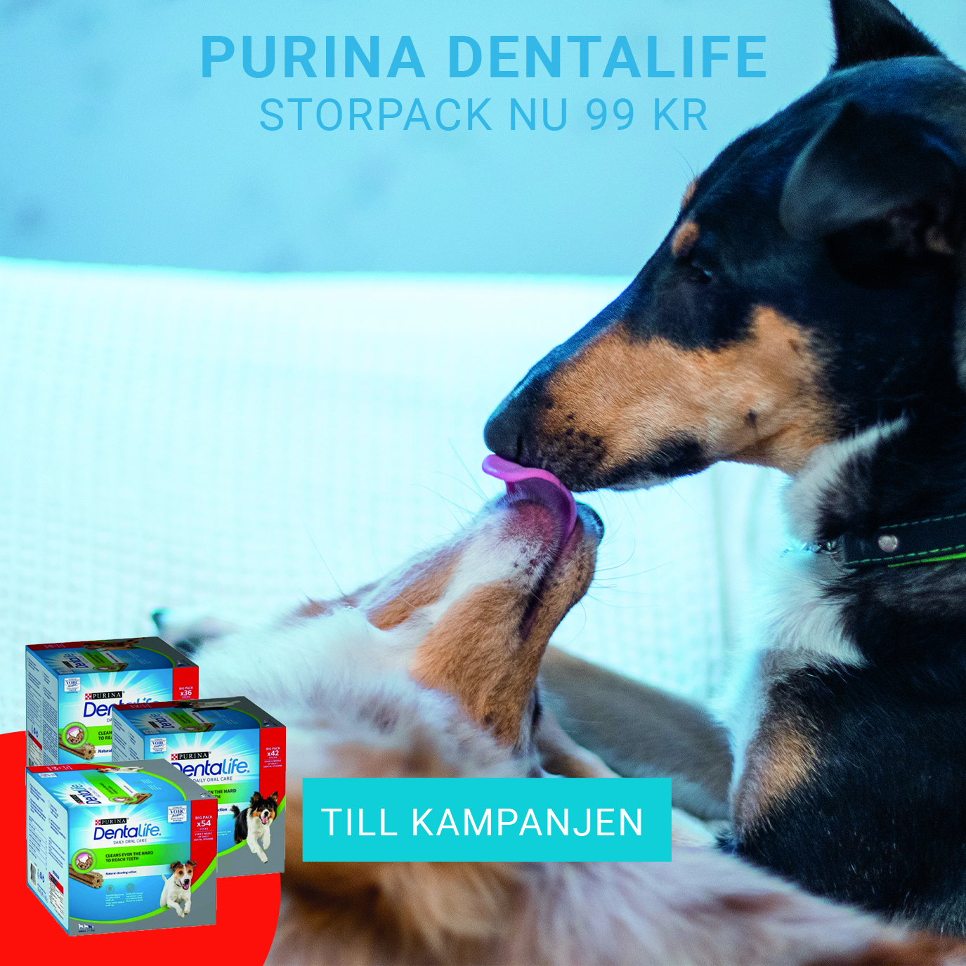 Purina Dentalife Storpack nu 99 kr