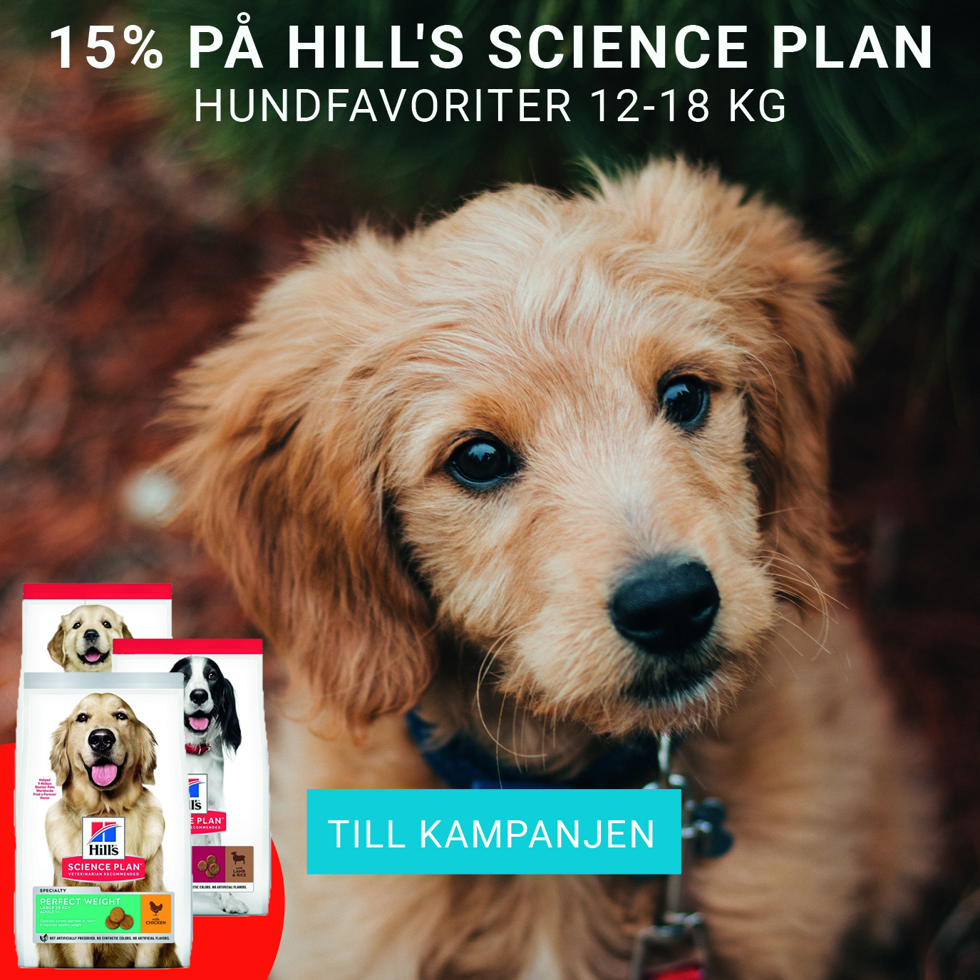 15% på Hill's Science Plan Hundfavoriter 12-18 kg