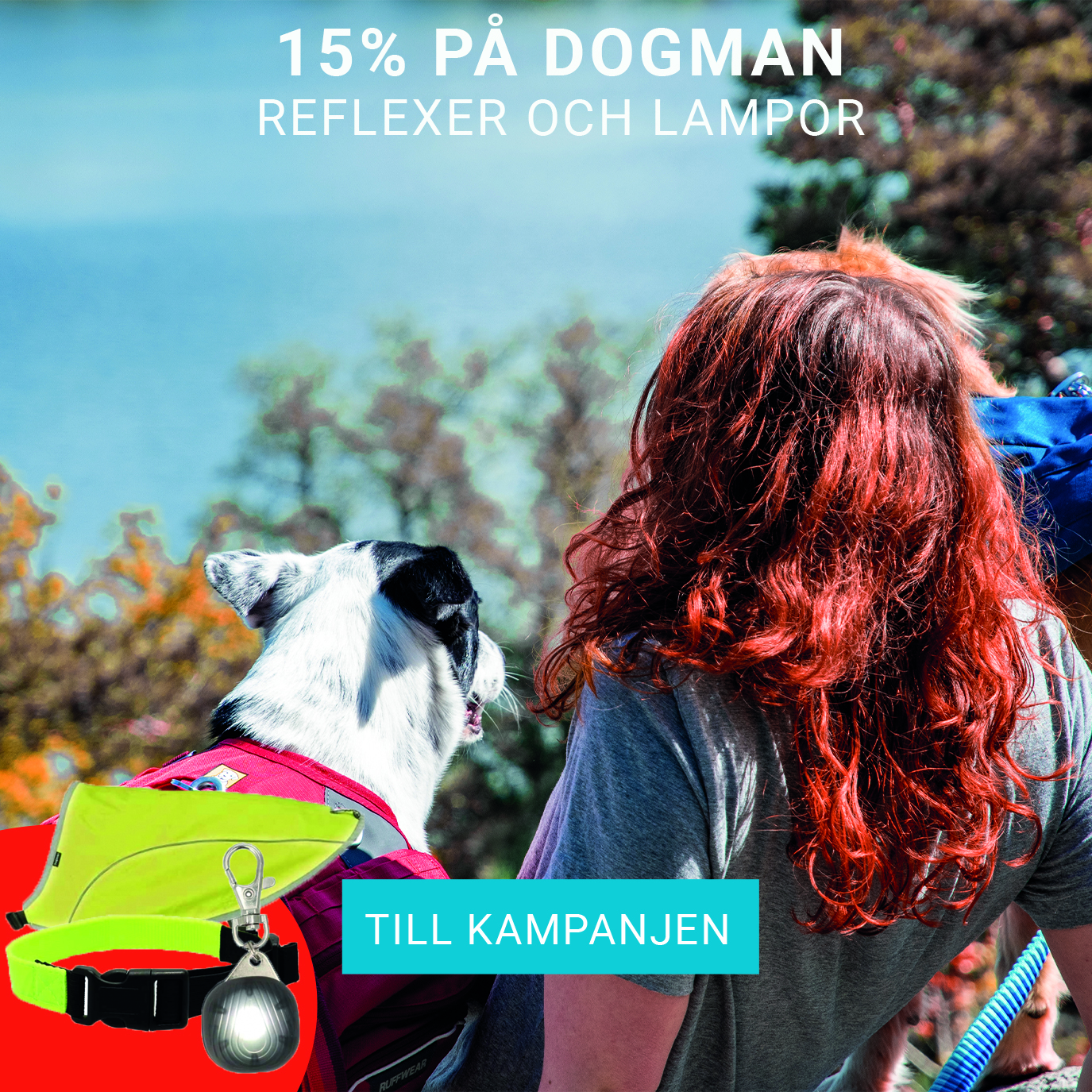 15% på Dogman Reflexer och Lampor