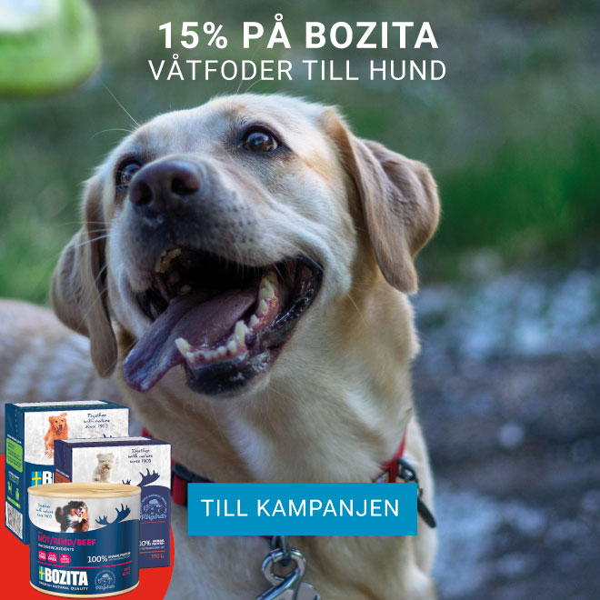 15% på Bozita Våtfoder till hund 15% på Bozita Våtfoder till hund