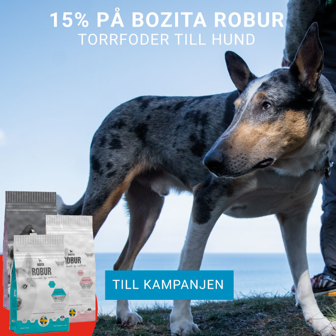 15% på Bozita Robur Torrfoder till hund 15% på Bozita Robur Torrfoder till hund