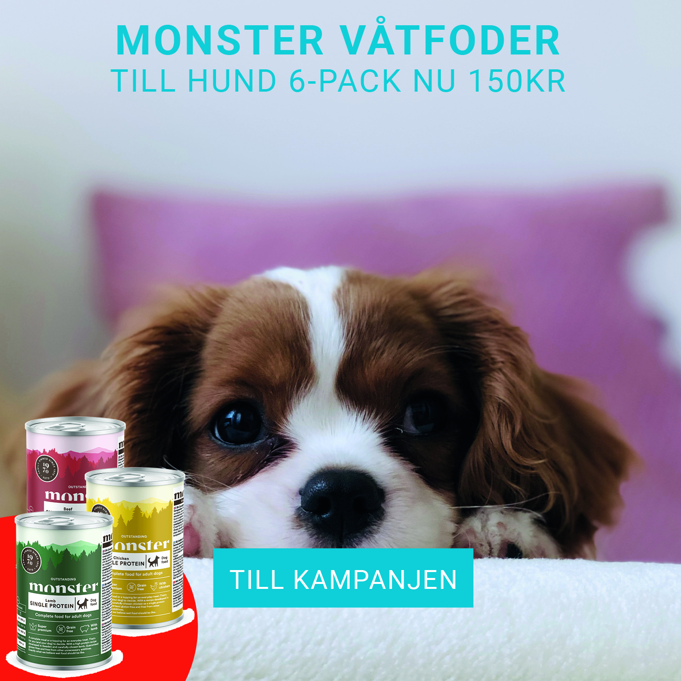 Monster Hundmat 2 kg nu 99 kr Monster Hundmat 2 kg nu 99 kr