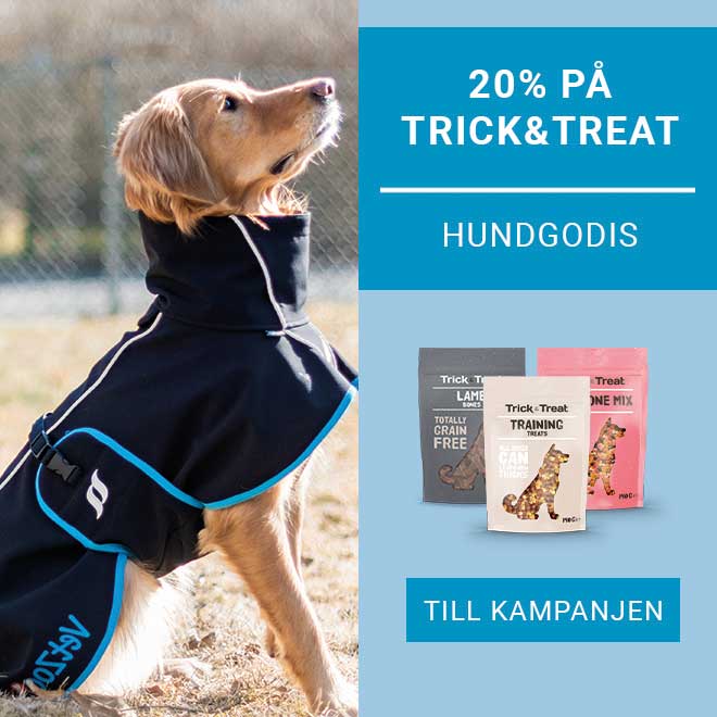 20% på Trick&Treat Hundgodis