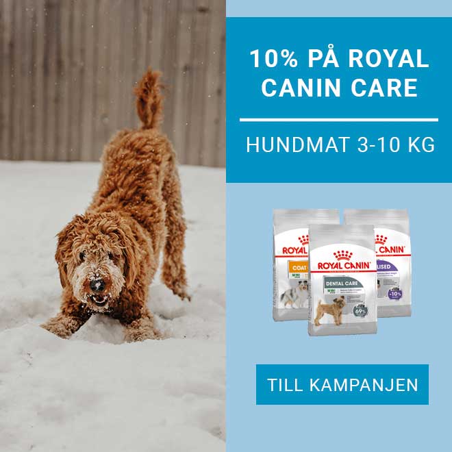 10% på Royal Canin Care Hundmat 3-10 kg